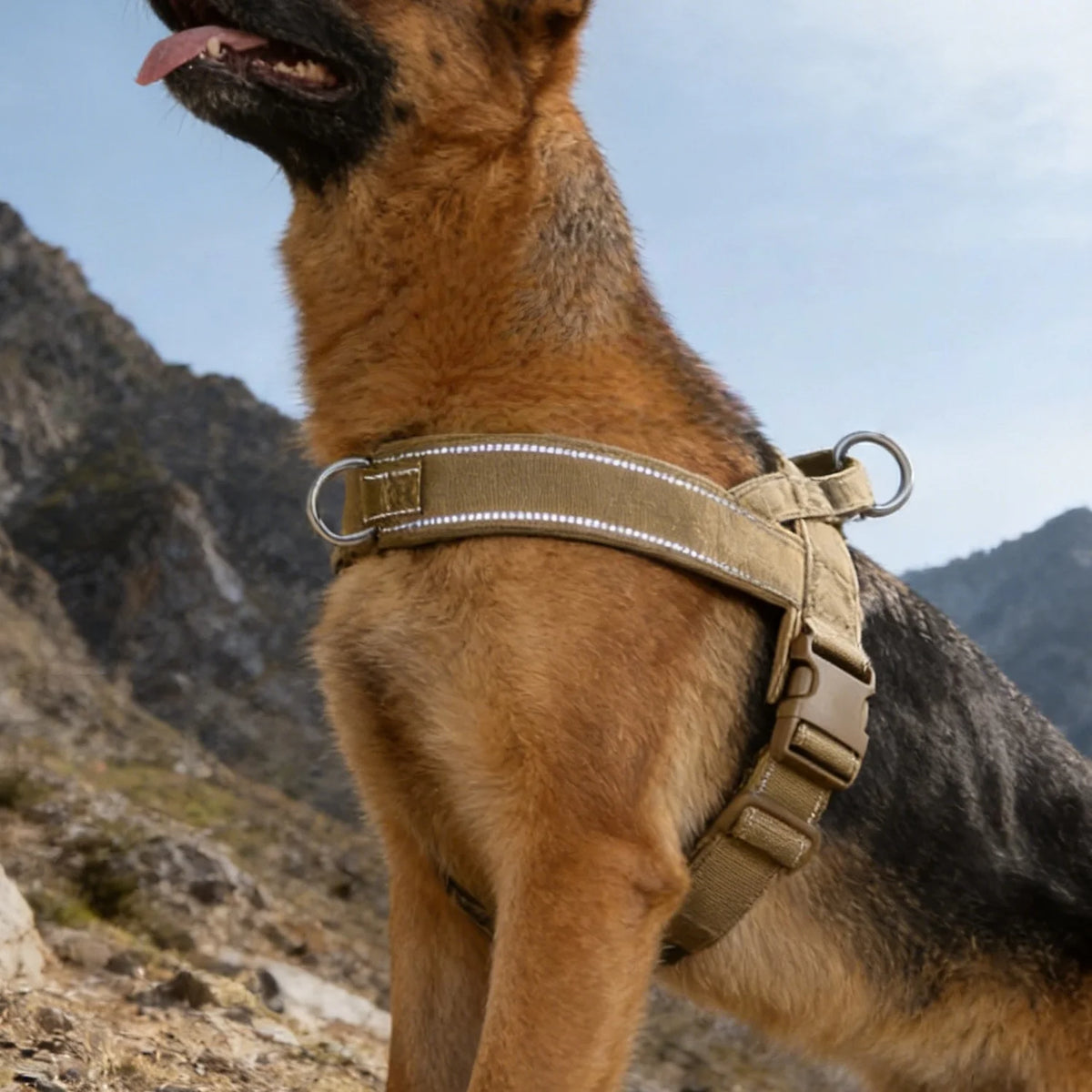 Arnés Walk PetLuxe