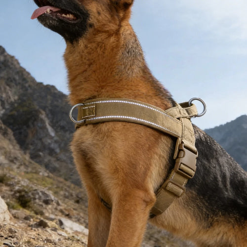 Arnés Walk PetLuxe