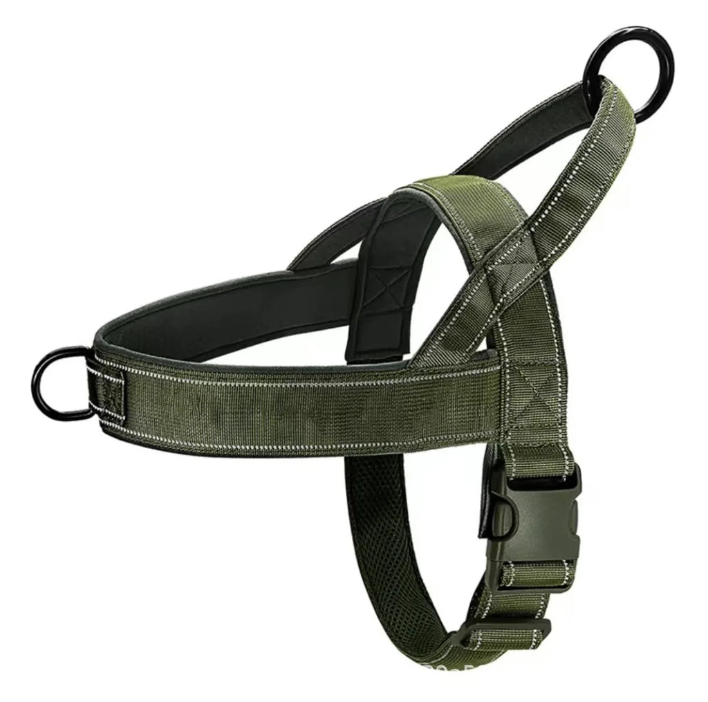 Arnés Walk PetLuxe